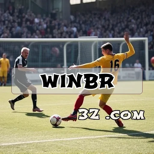 Avaliações Criativas: As Reviews do winbr que Encantam